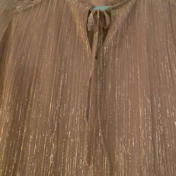 Joie Sparkly Gold and Beige Blouse - Picture 8 of 8